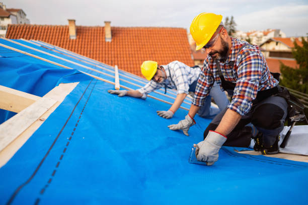 Best Storm Damage Roof Repair  in Sylvania, GA