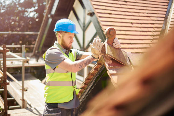 Roof Gutter Cleaning in Sylvania, GA