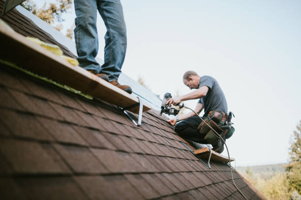 Quick and Trustworthy Emergency Roof Repair Services in Sylvania, GA